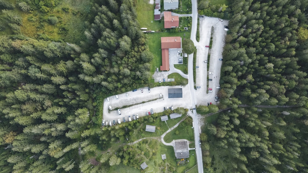 aerial view of green trees and white buildings