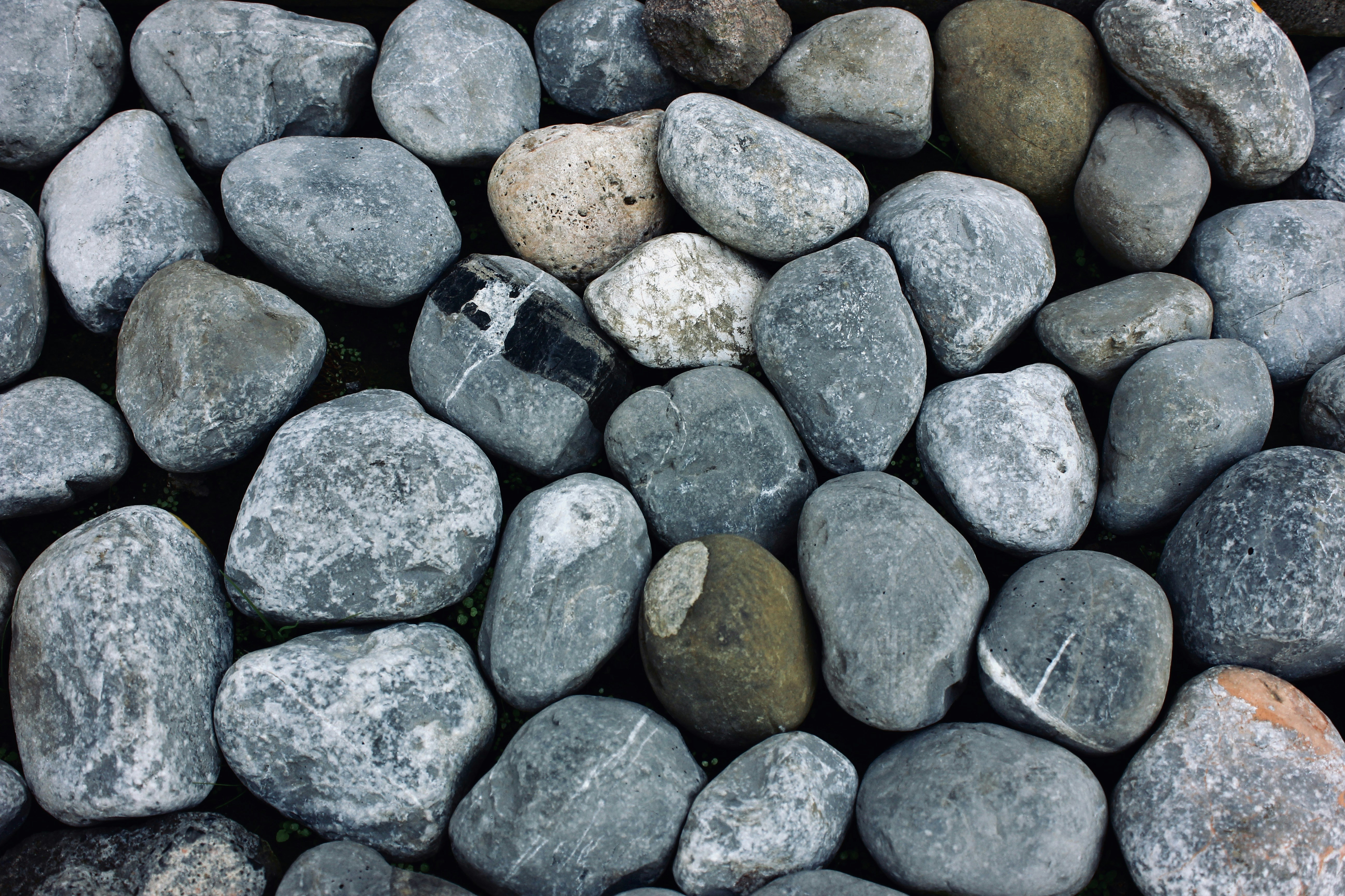 Photo by alexhollanderv