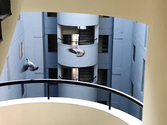 Side view showing the neat installation of pigeon nets blending with the balcony’s design.