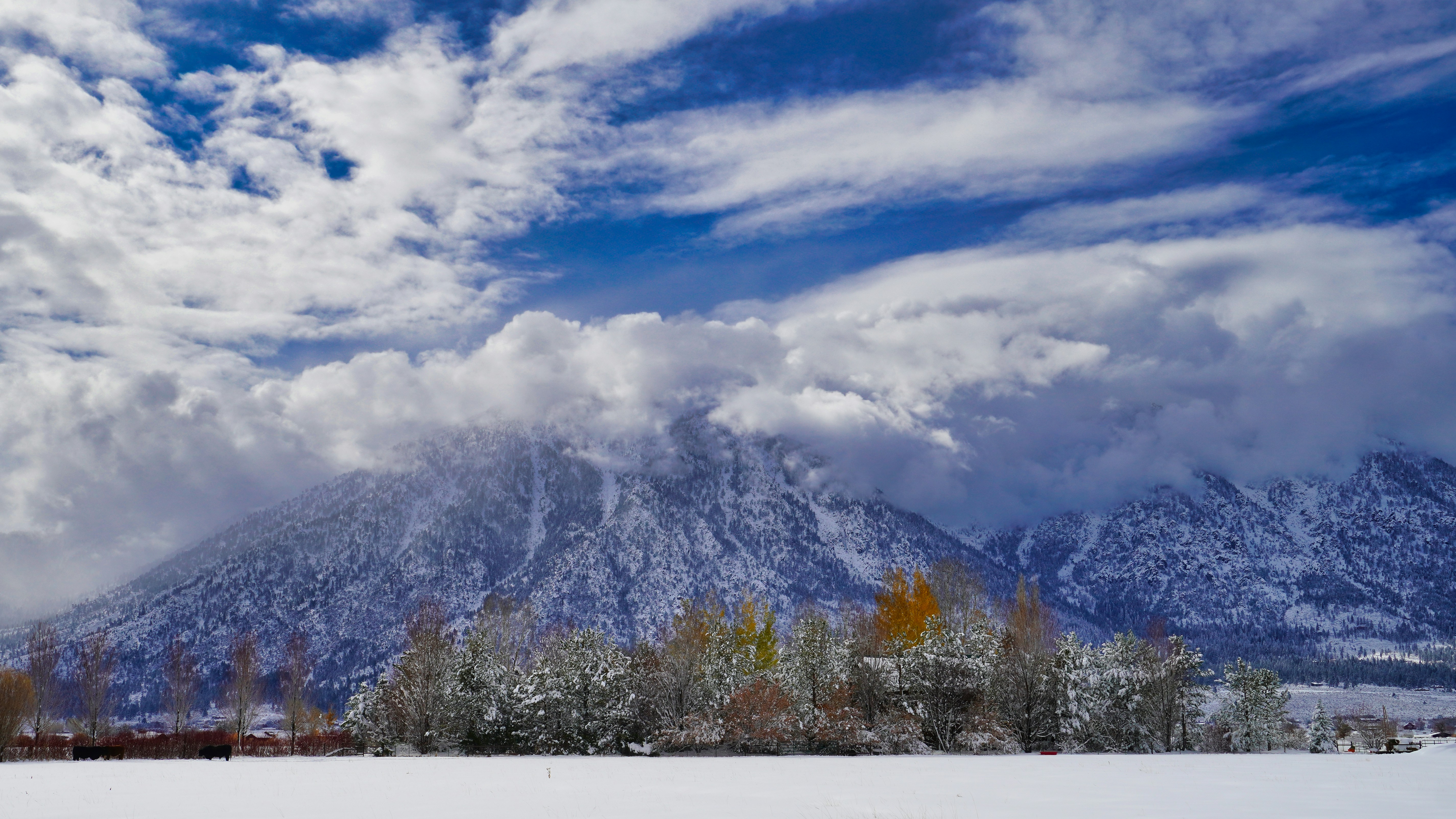 Photo by tahoe_roland