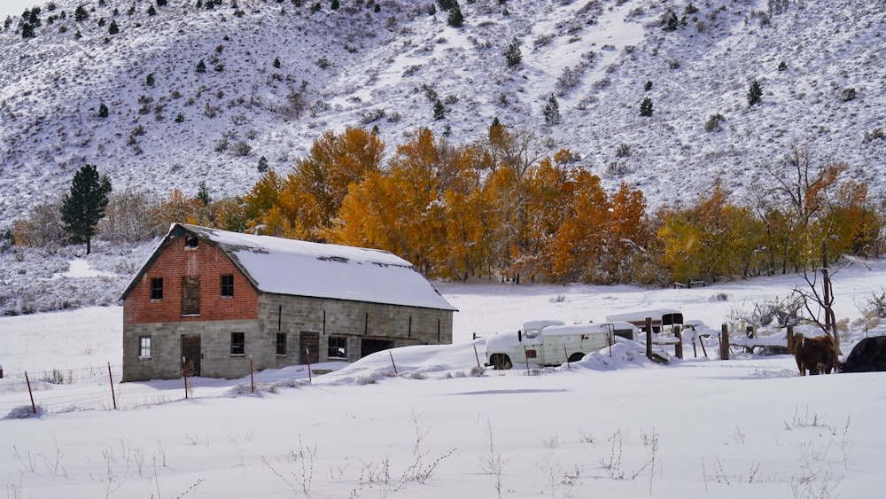 Braunes Holzhaus auf schneebedecktem Boden in der Nähe von Bäumen tagsüber
