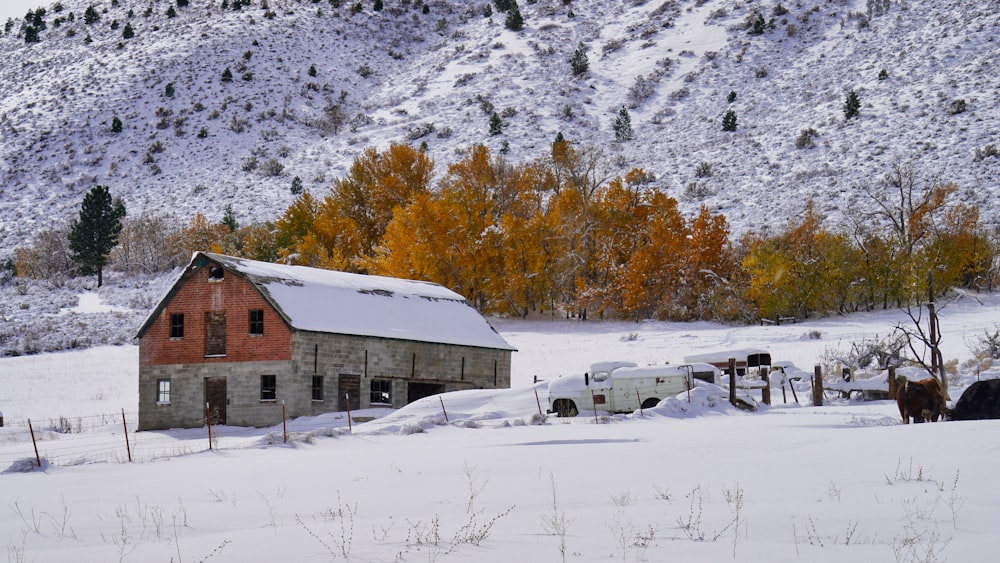 brown wooden house on snow covered ground near trees during daytime