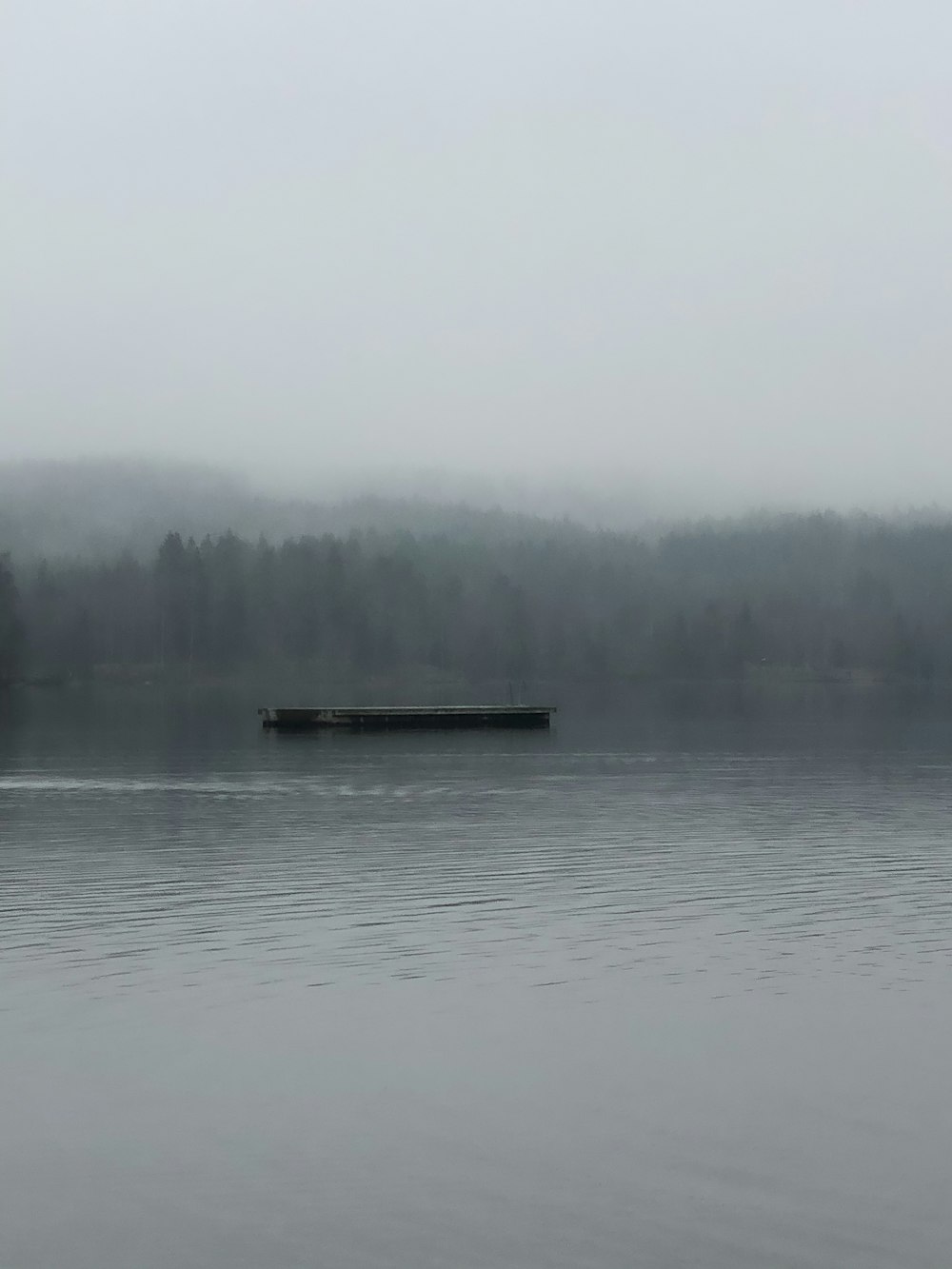 body of water near green trees covered with fog