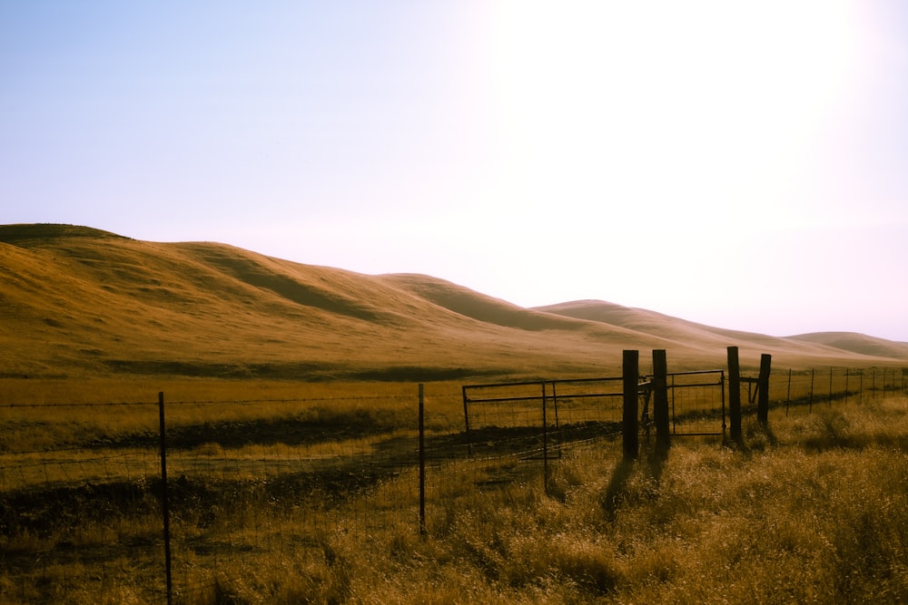 brown wooden fence on green grass field during daytime