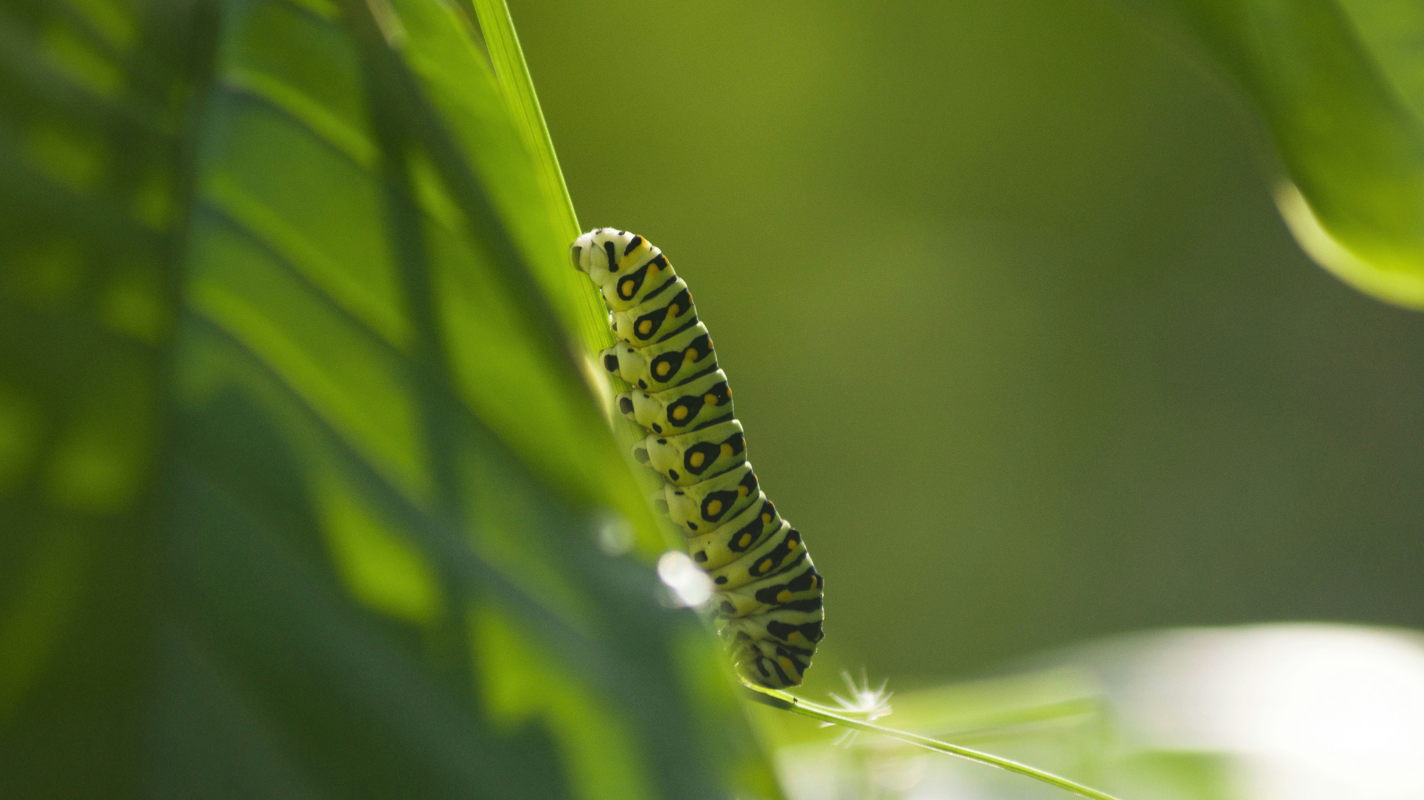 Photo by yosoyartmdez