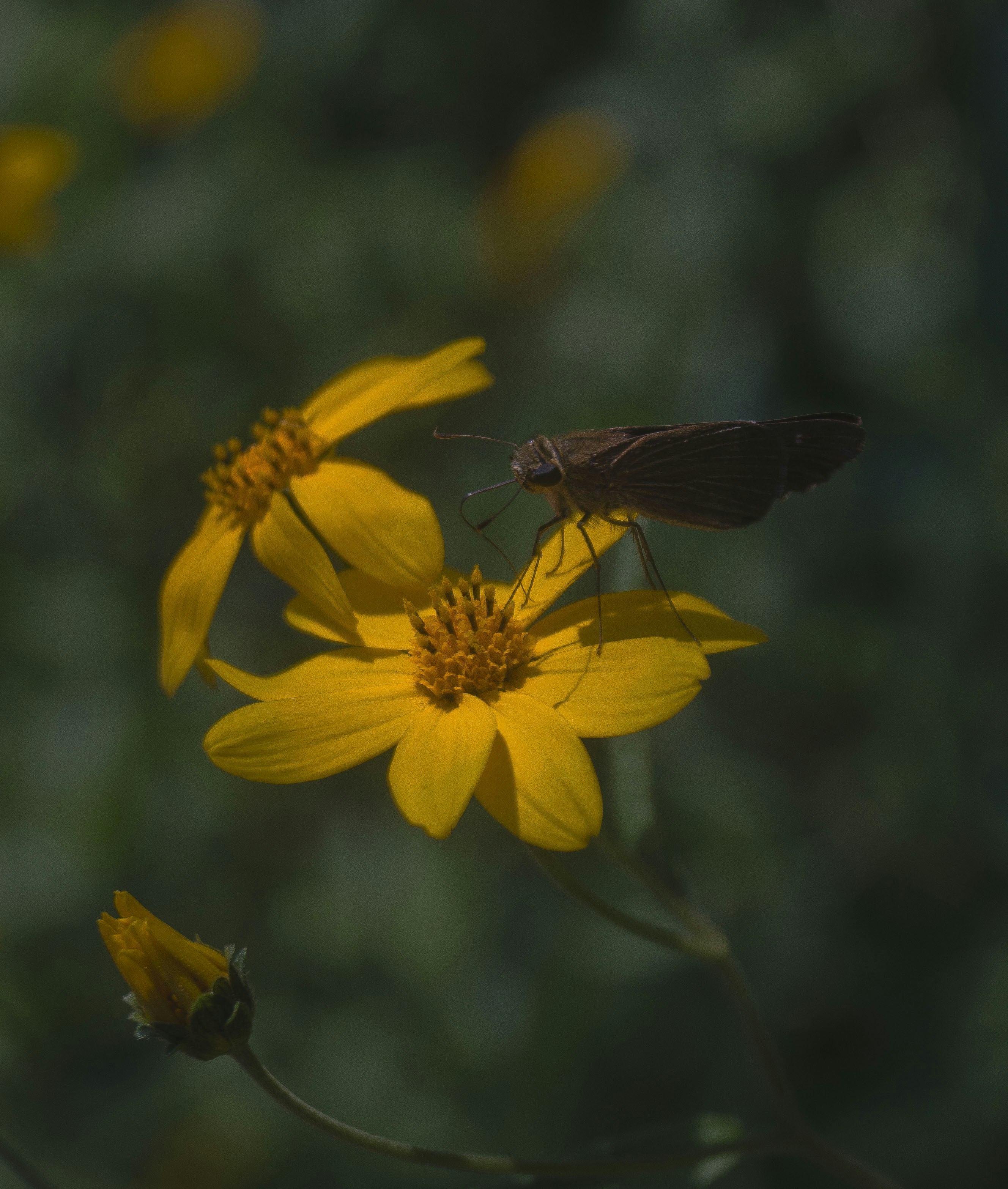 Photo by yosoyartmdez