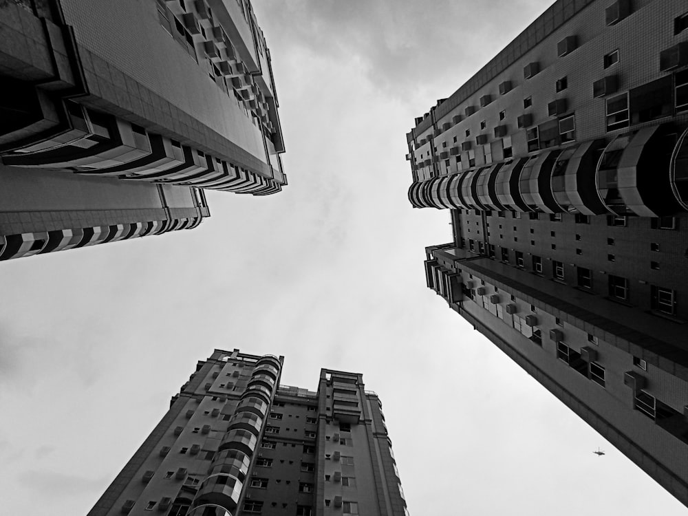 grayscale photo of high rise buildings