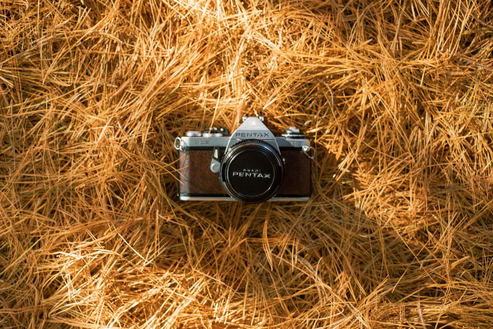 black and silver dslr camera on brown grass