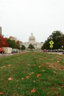 white and red flowers on green grass field near white concrete building during daytime