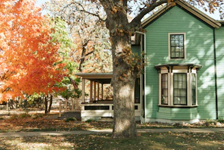 white wooden house near brown tree