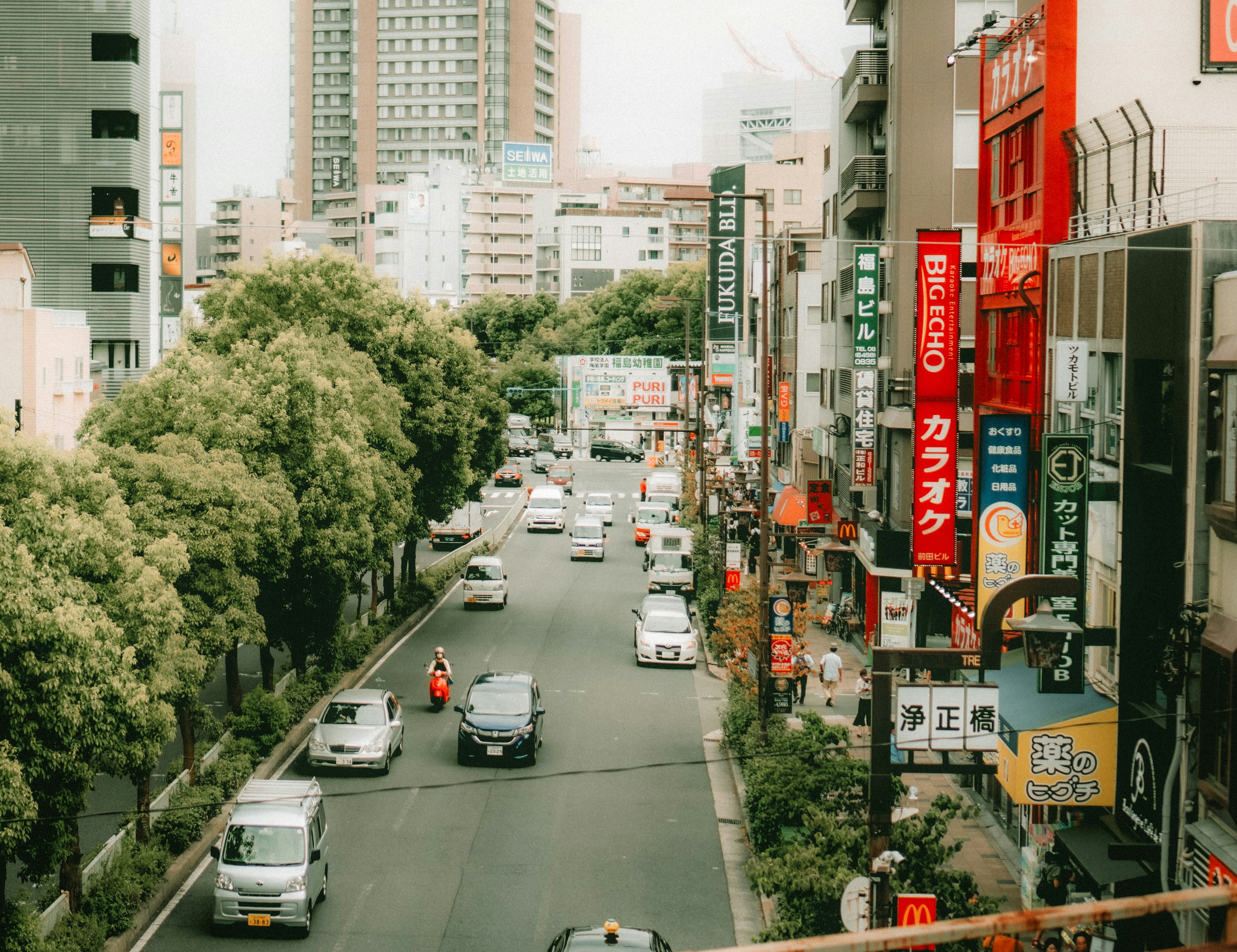 Photo by thinhngtrung