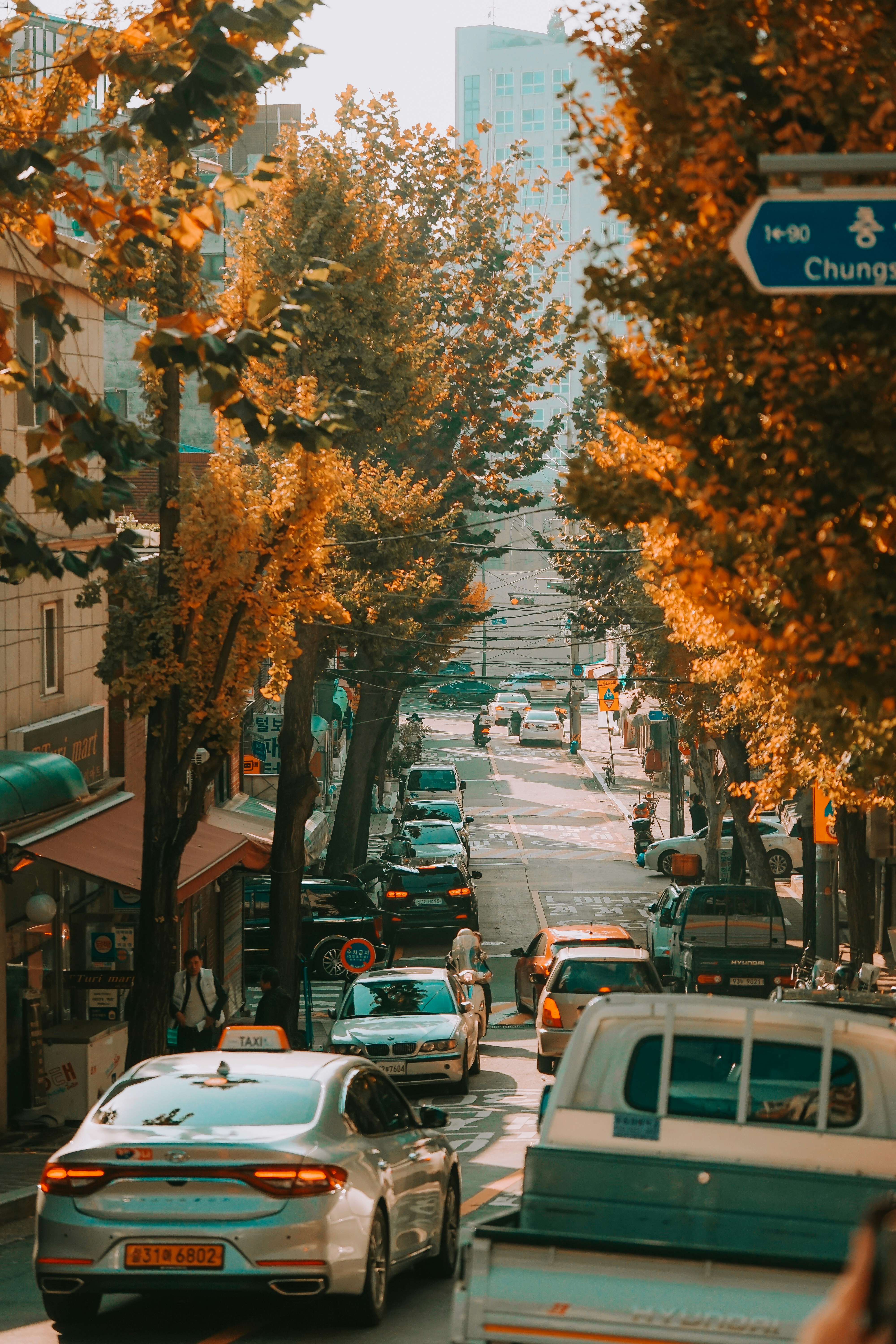 Photo by thinhngtrung