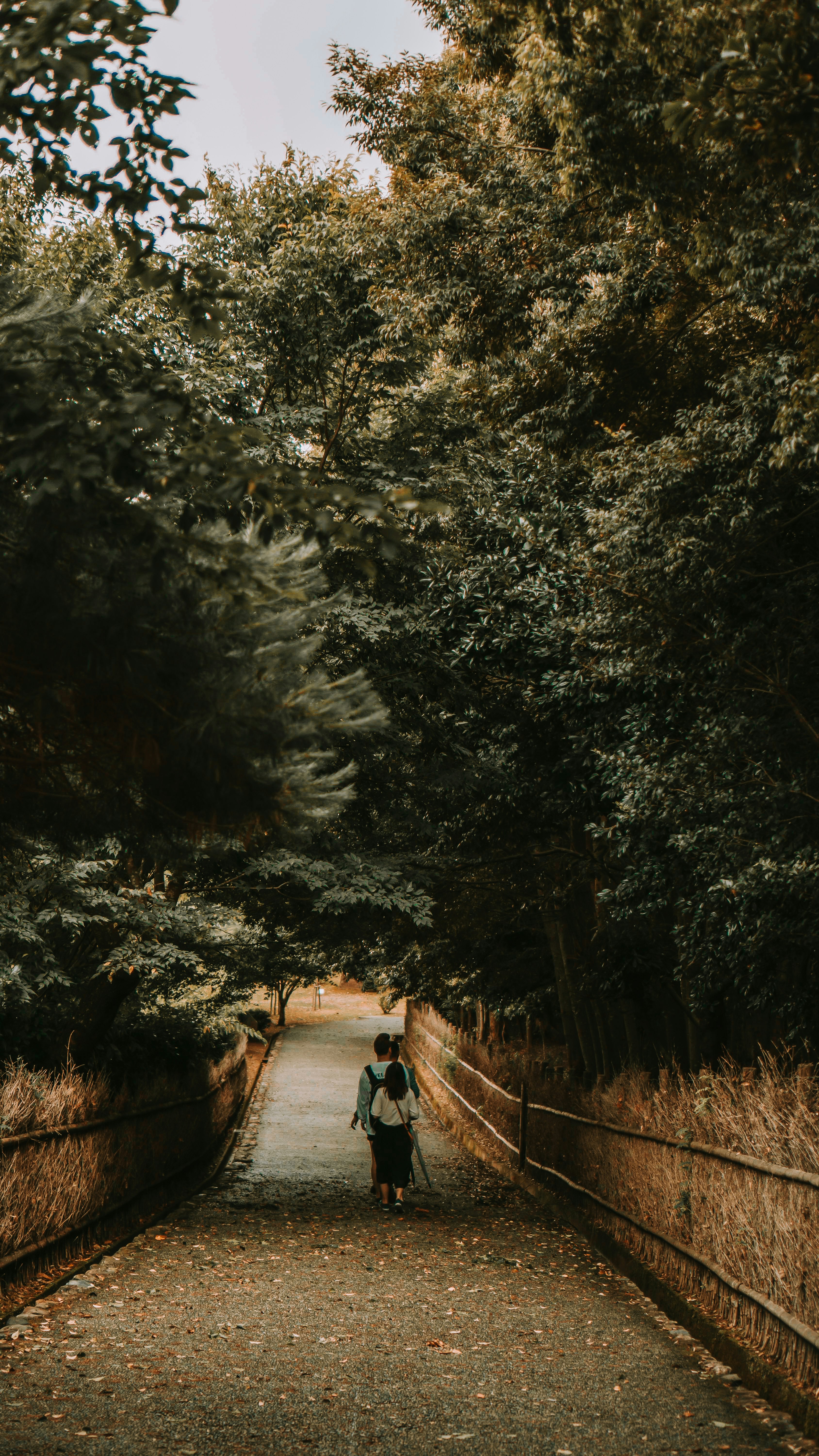 Photo by thinhngtrung