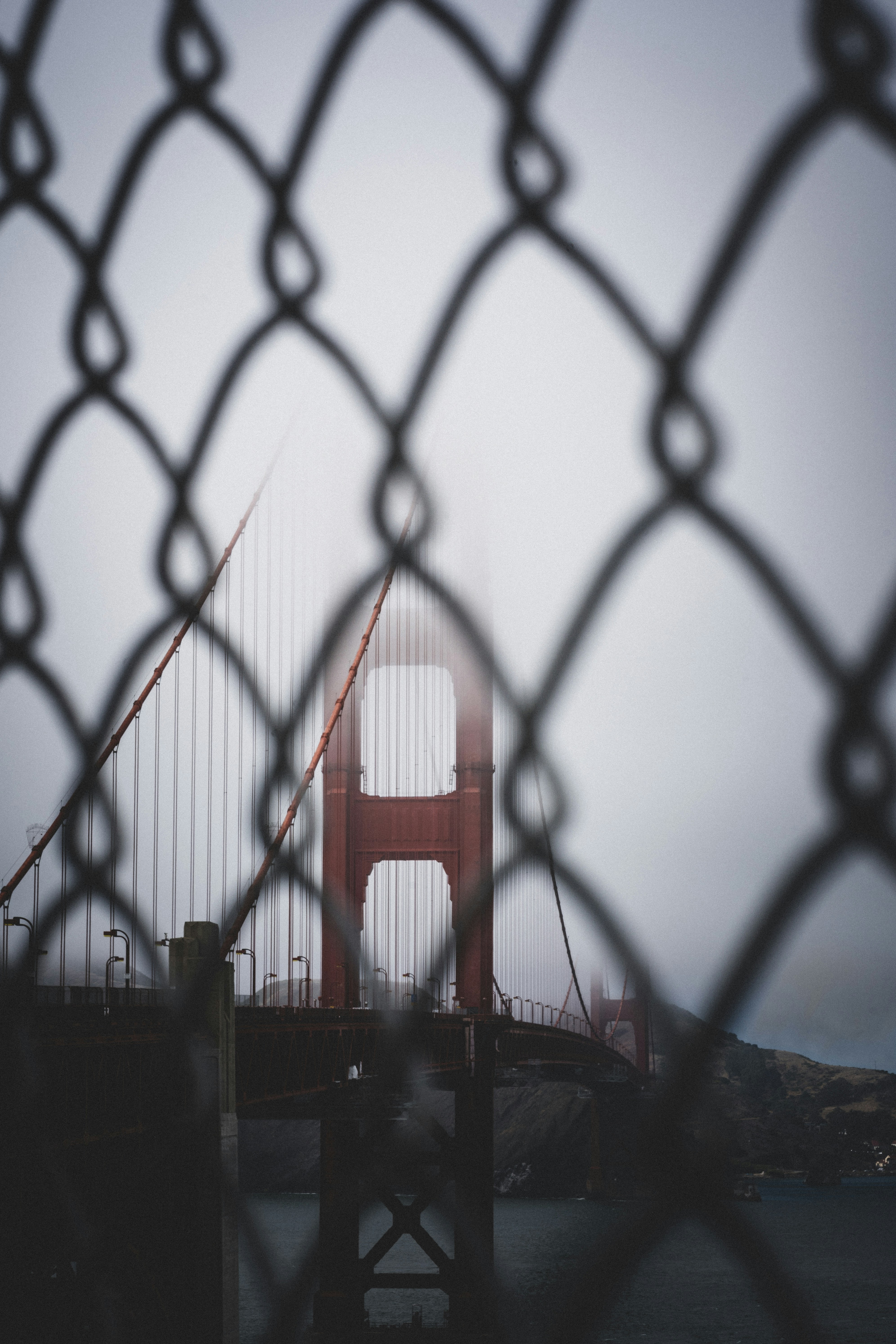 Photo by kalaniparker