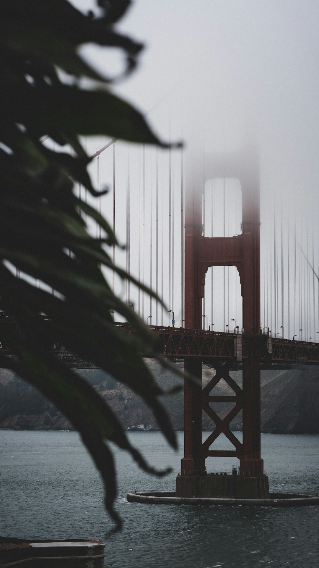 golden gate bridge in foggy weather