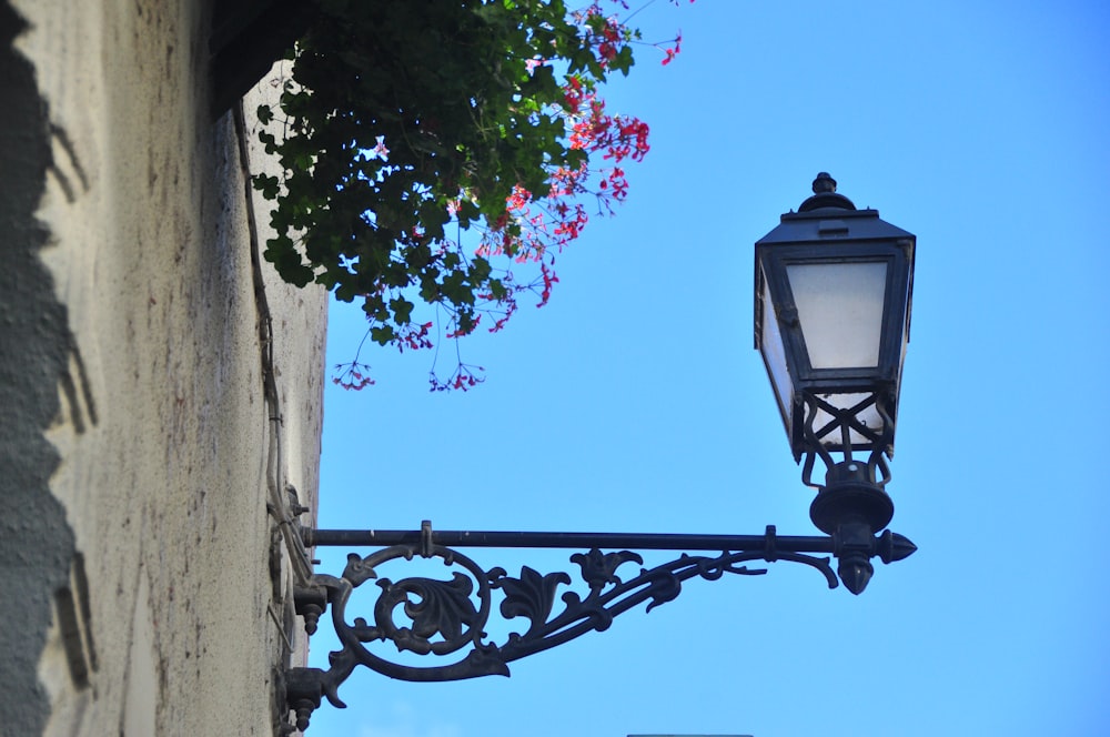 black street lamp near pink flowers during daytime