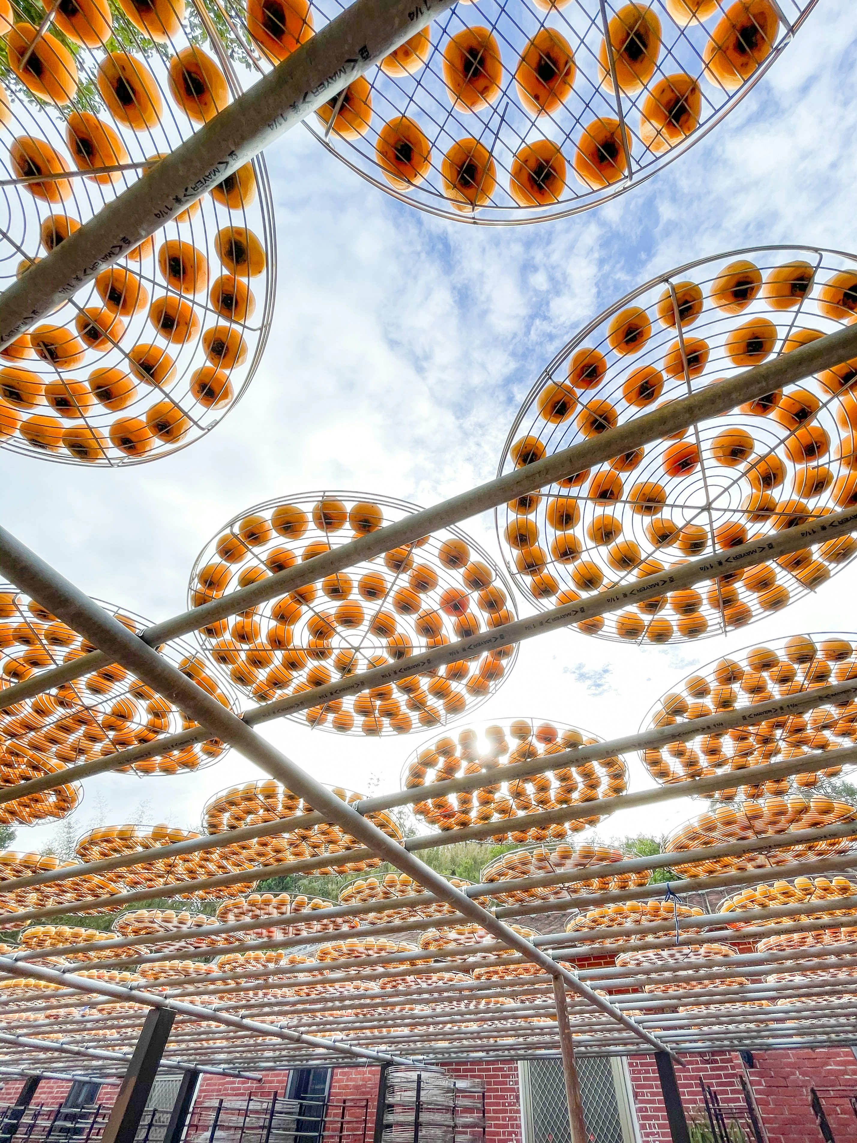 Photo by winstonchen