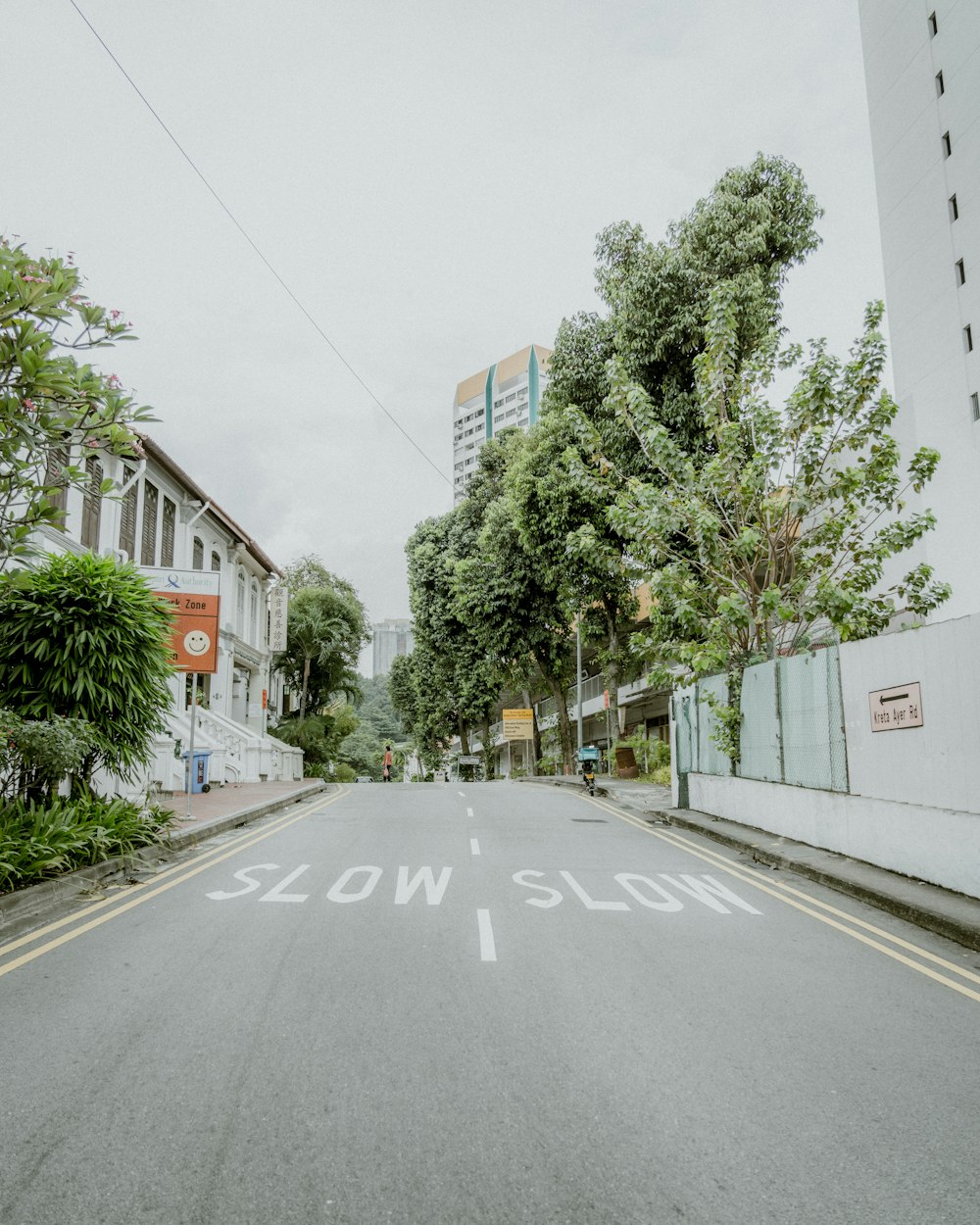 green trees beside gray concrete road during daytime