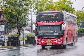 A large red bus driving on a wet road with rain visible around it. The bus has 'Non Stop Skyview Coach' written on the front and is a Scania brand vehicle. Trees and greenery are on the side of the road, with a car partially visible in the background. The scene suggests a rainy day in an urban setting.