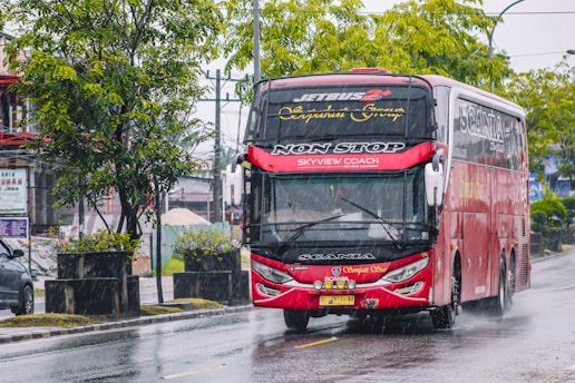 A large red bus driving on a wet road with rain visible around it. The bus has 'Non Stop Skyview Coach' written on the front and is a Scania brand vehicle. Trees and greenery are on the side of the road, with a car partially visible in the background. The scene suggests a rainy day in an urban setting.