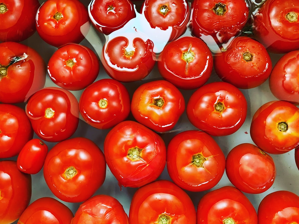 red tomato fruits on white ceramic plate