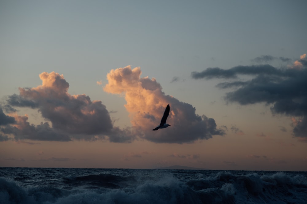 person jumping on sea under white clouds during daytime