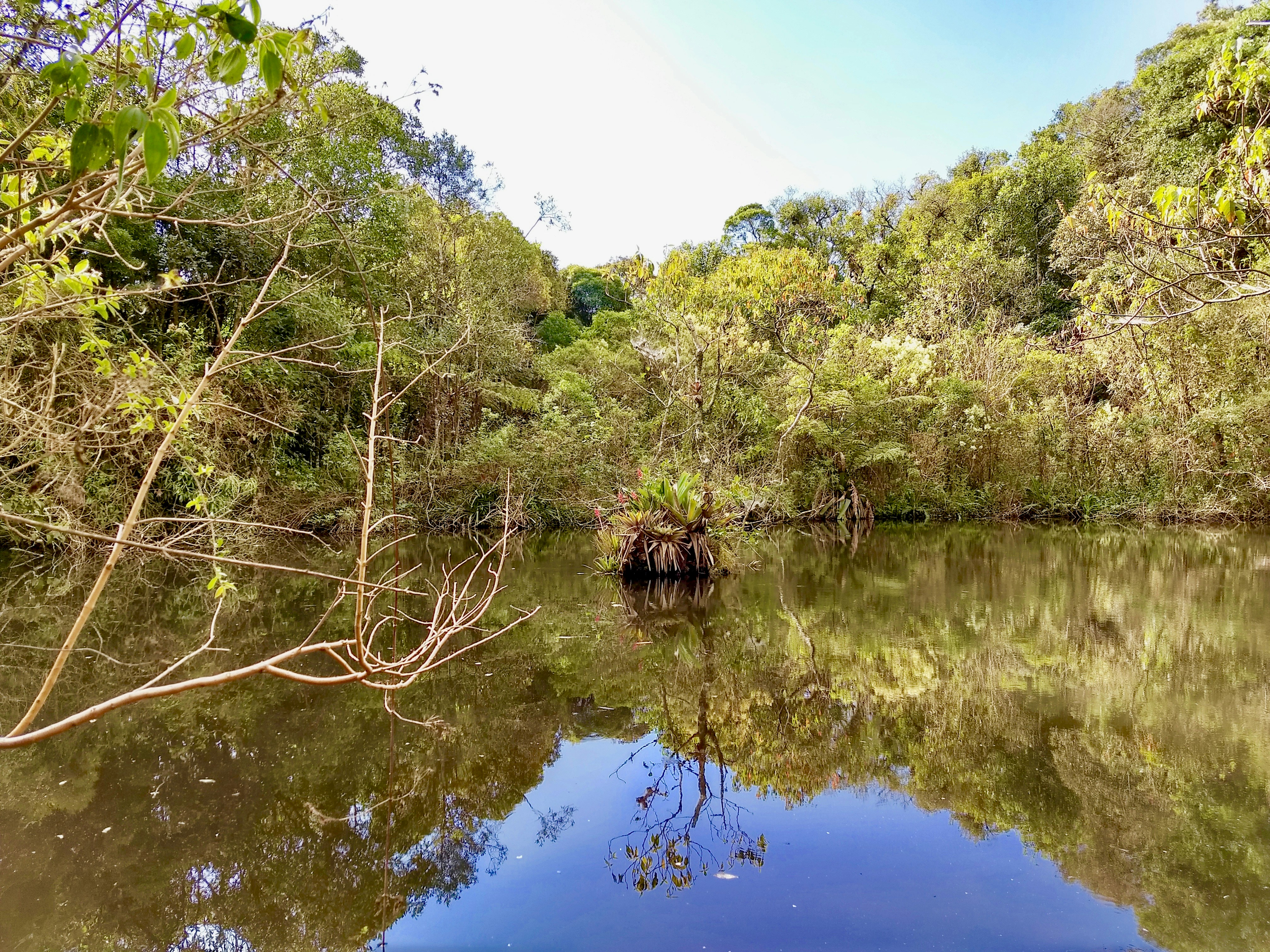 Photo by jaimedantas