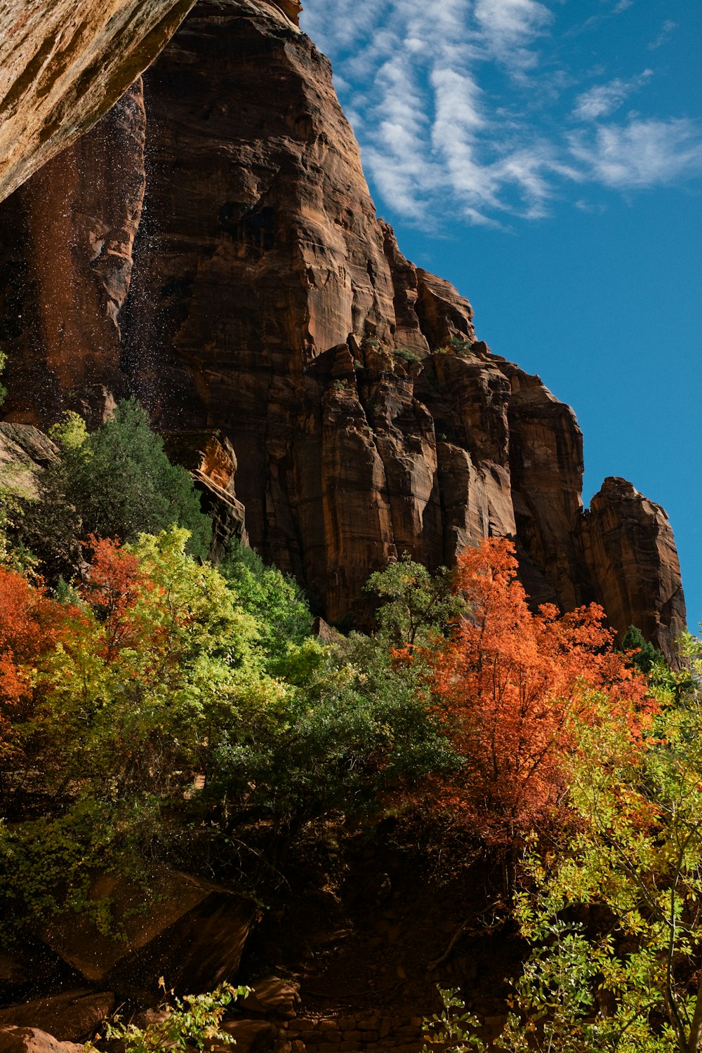 Árboles verdes cerca de la montaña rocosa marrón bajo el cielo azul durante el día