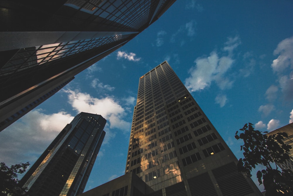 low angle photography of high rise building