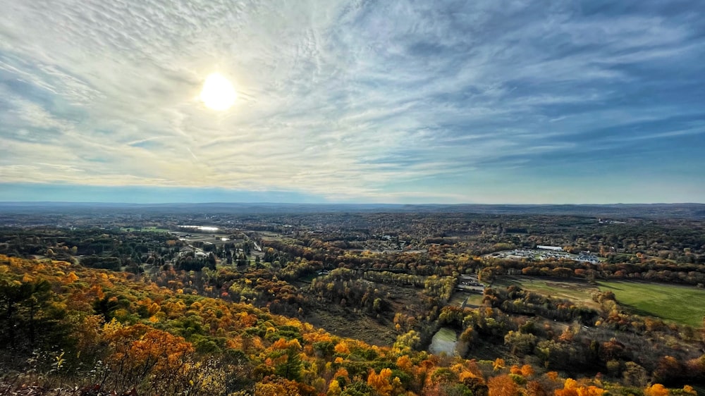 aerial view of city during daytime