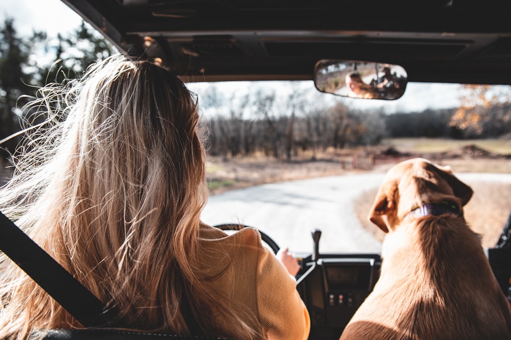 mulher na camisa marrom de manga comprida sentada no assento do carro ao lado do cão marrom de pelagem curta durante