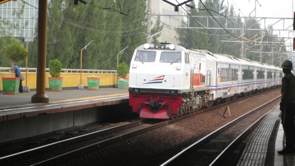 weißer und roter Zug auf Bahngleisen