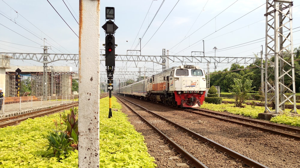 red and white train on rail tracks