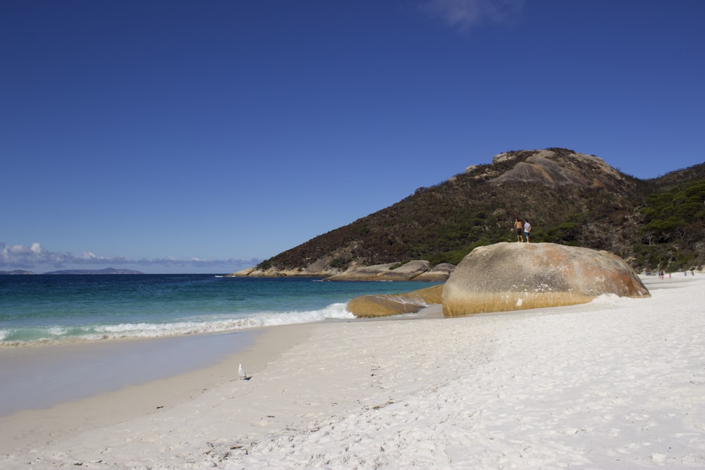 white sand beach near green mountain under blue sky during daytime