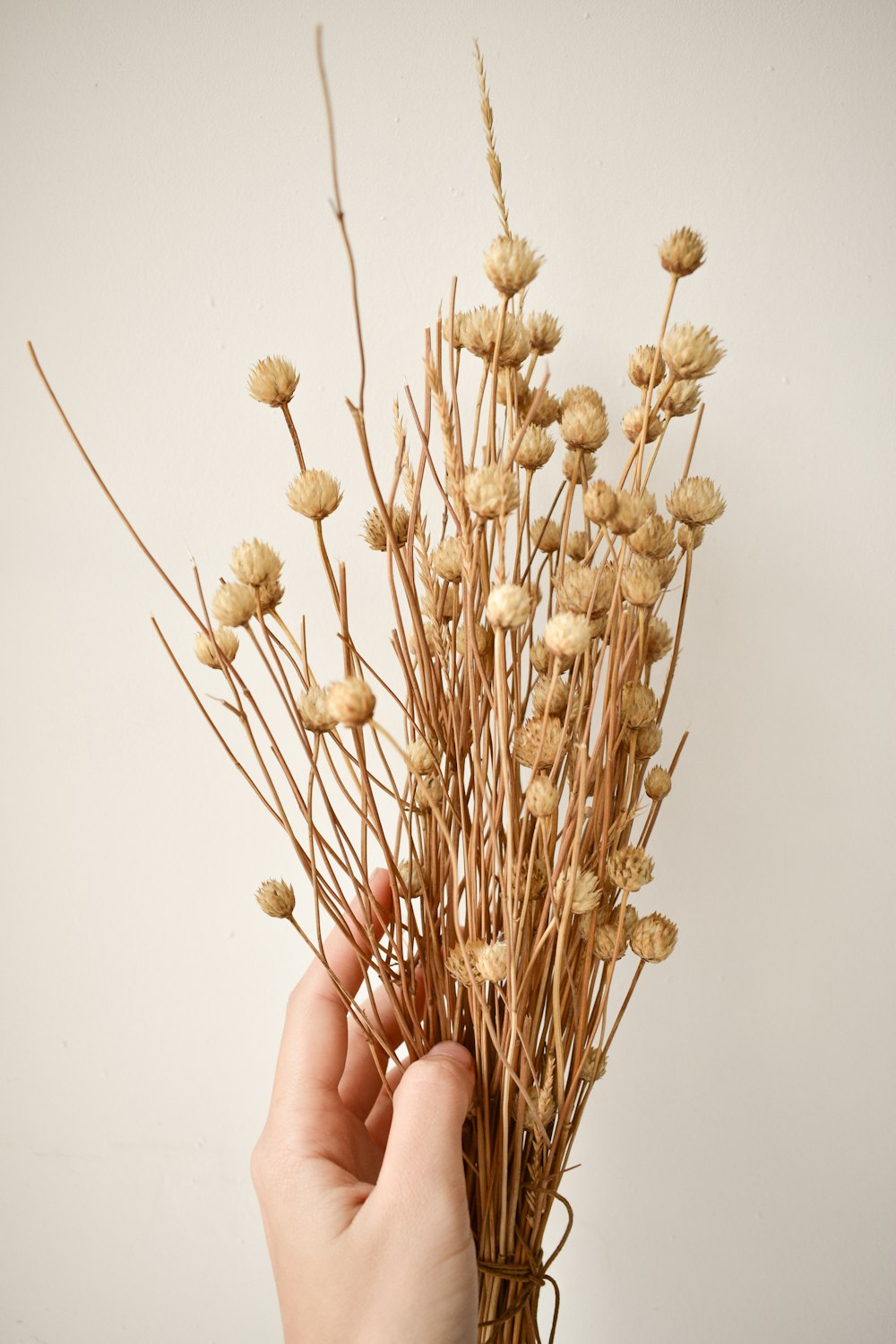 person holding brown flower bouquet