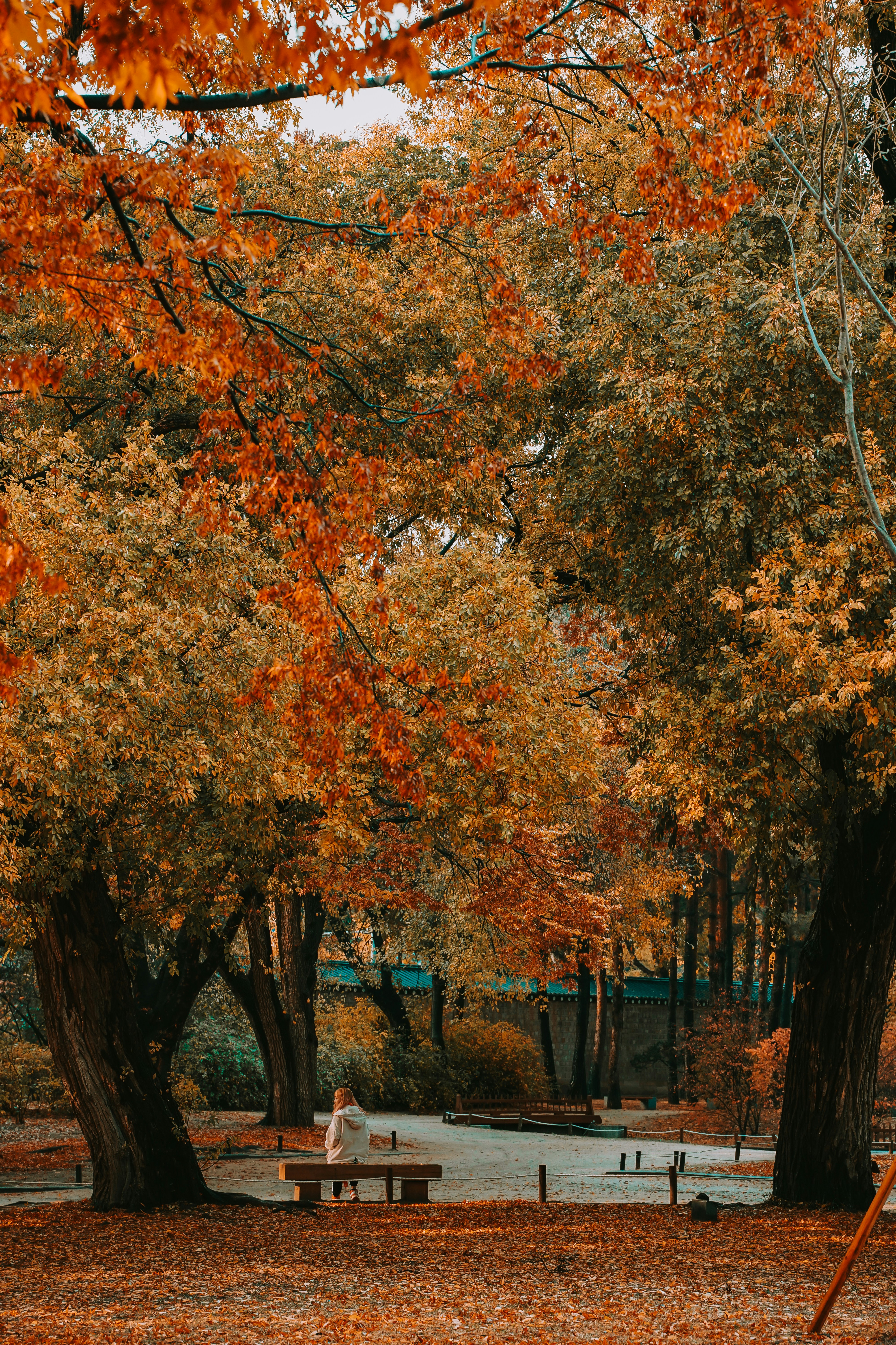 Photo by thinhngtrung