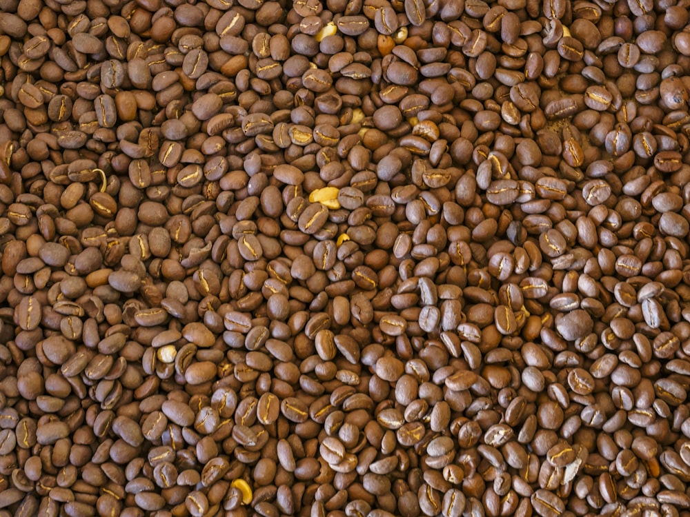 Granos de café marrón y negro