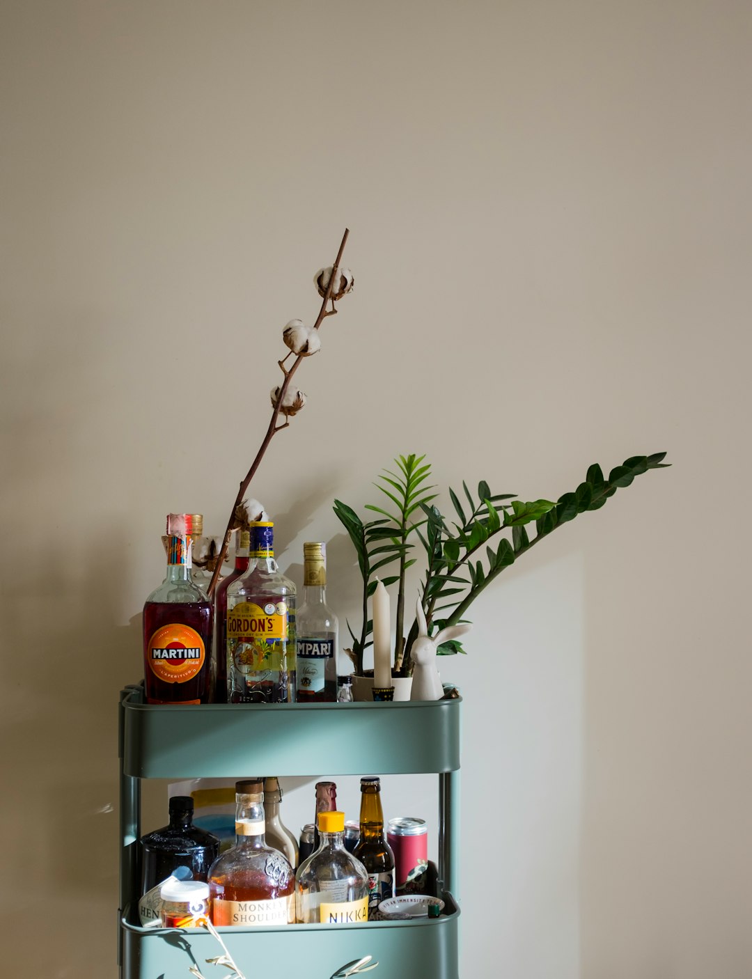 green plant on white wooden shelf