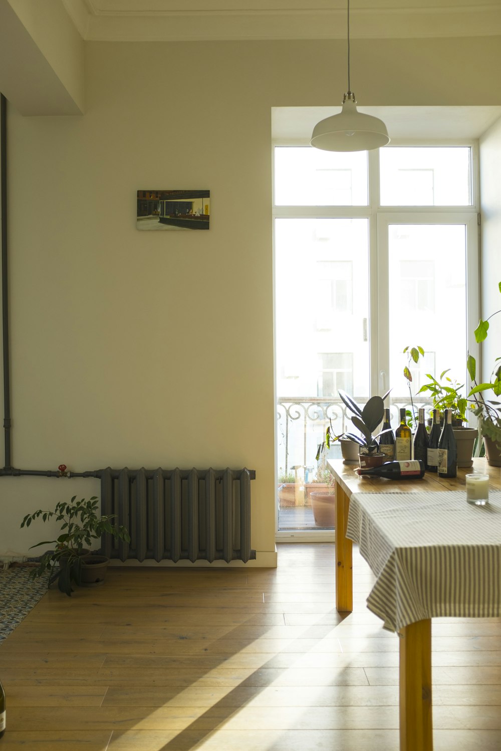 green potted plant on brown wooden table