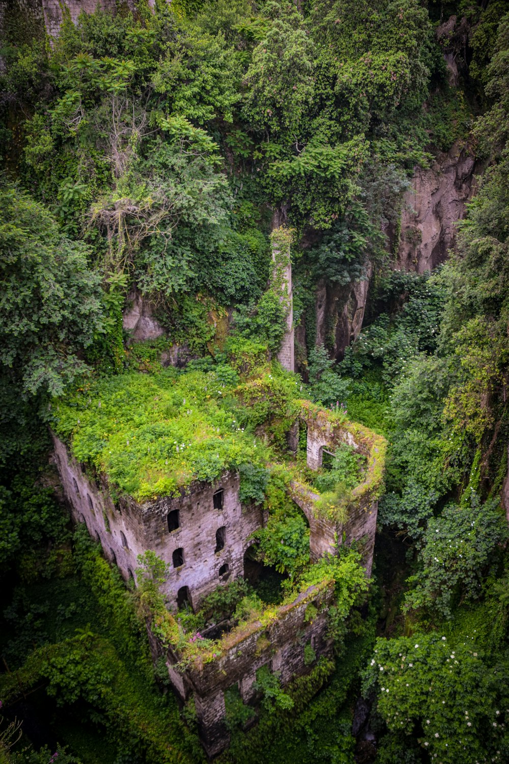 gray concrete building in the middle of green trees