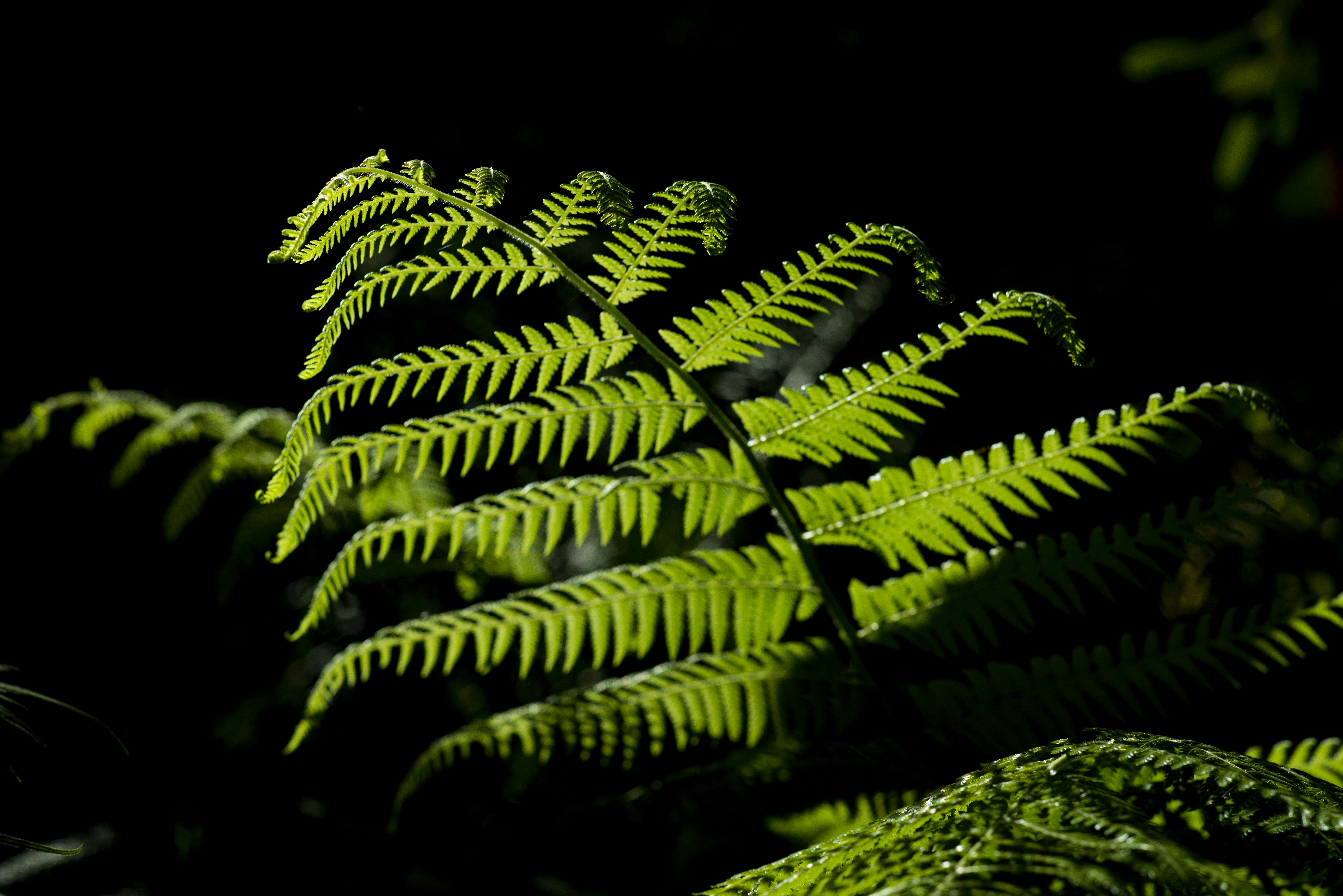 Photo by photographycoursenet