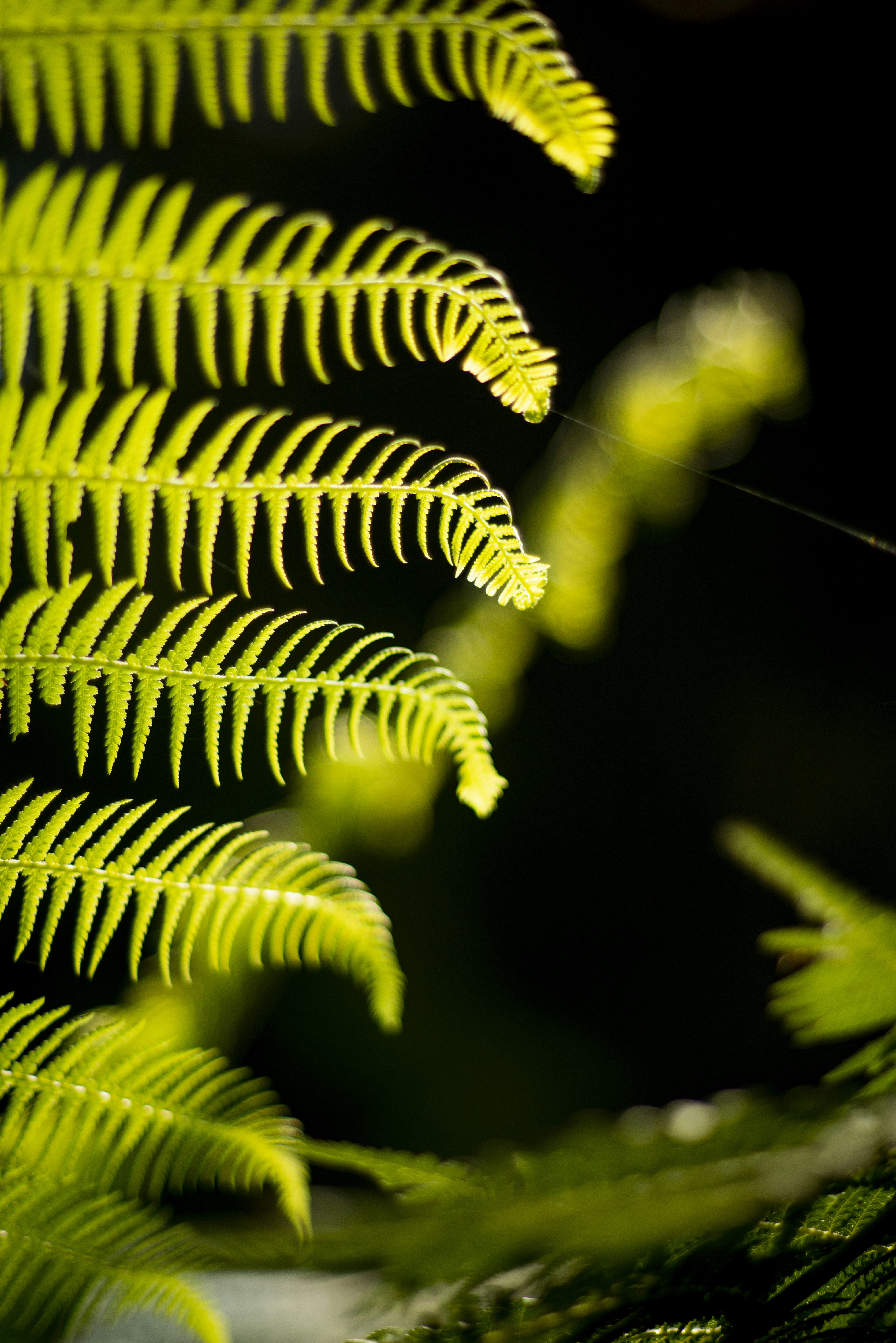 Photo by photographycoursenet