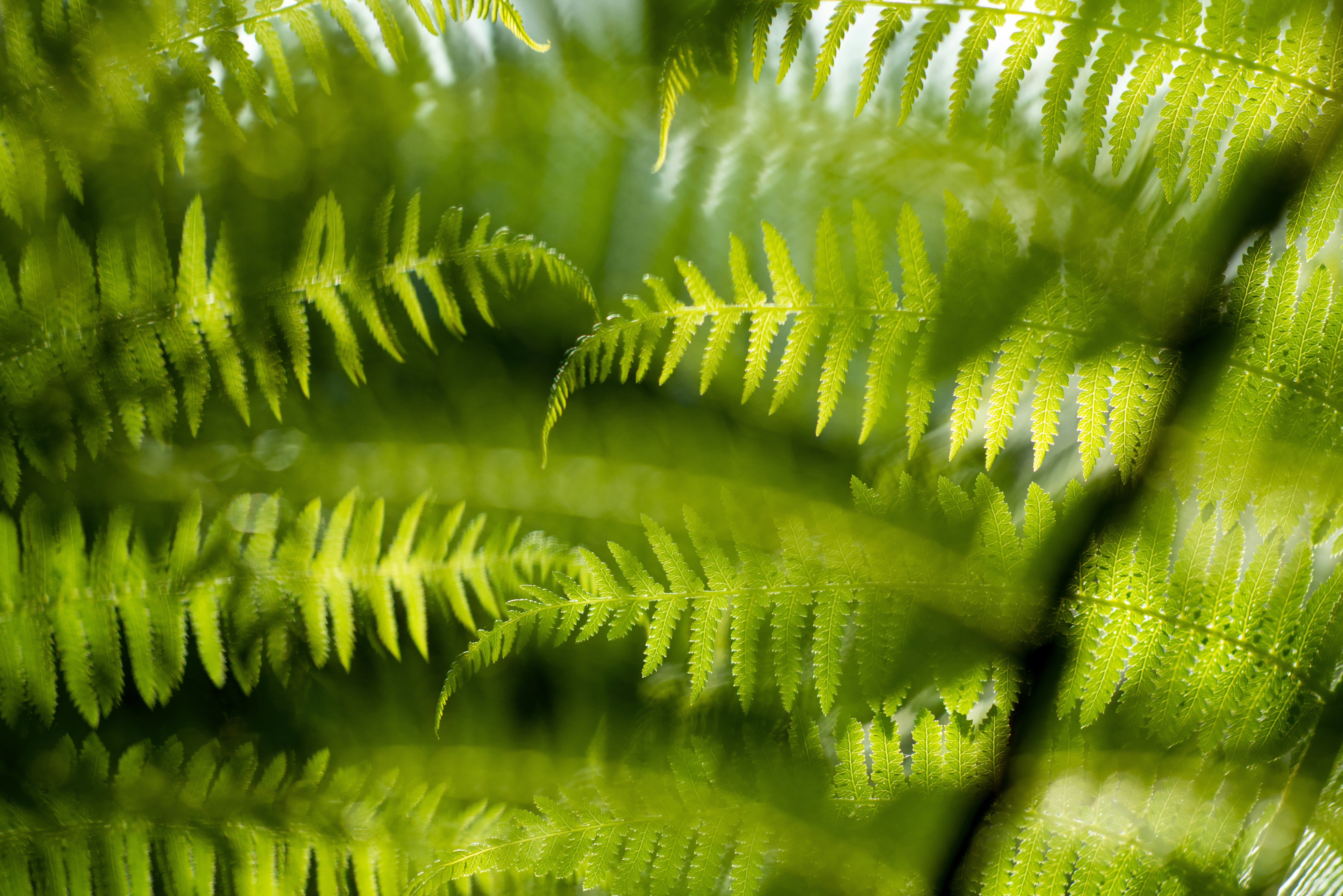 Photo by photographycoursenet