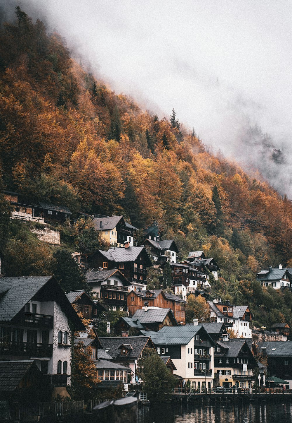 brown and white houses near green trees during daytime