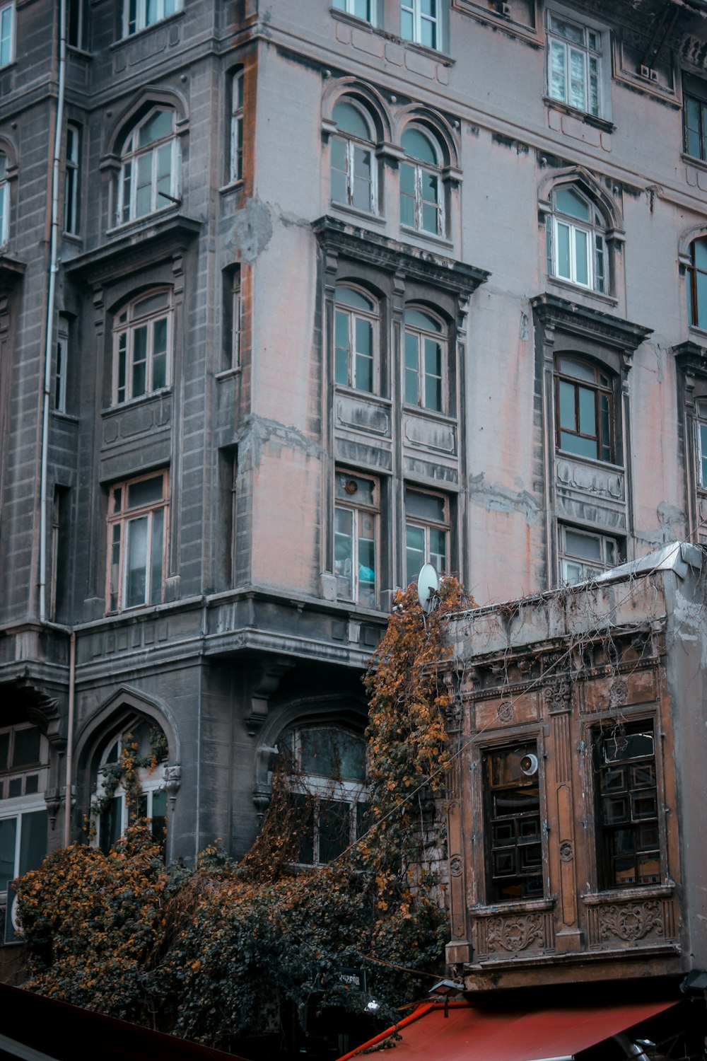 brown and gray concrete building