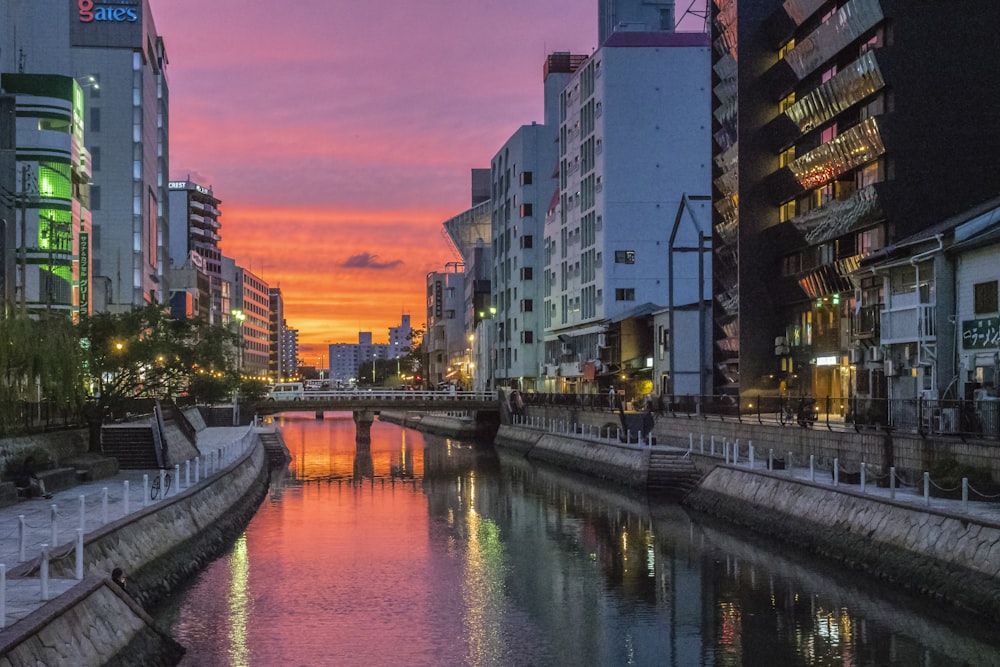 river between high rise buildings during night time