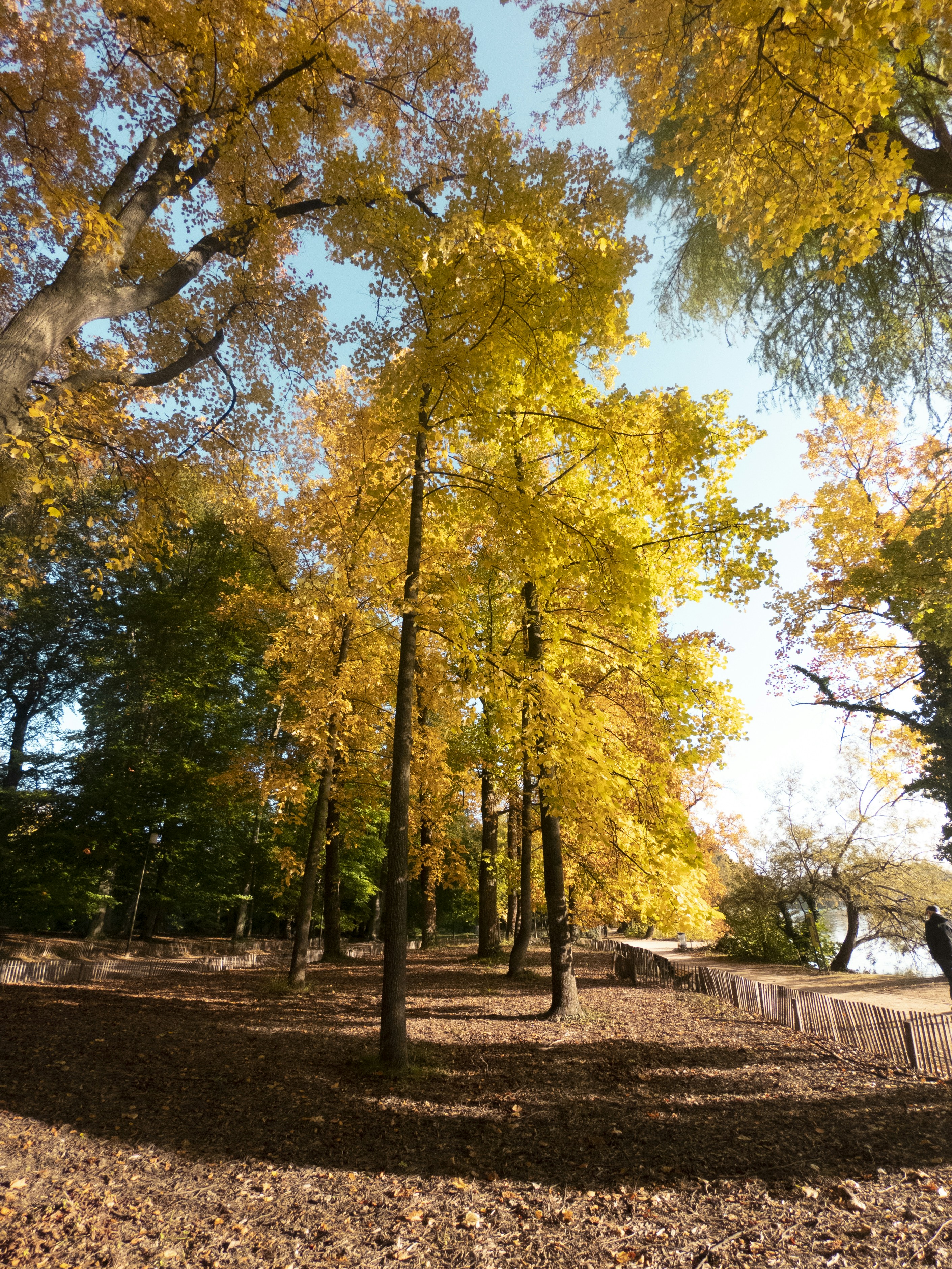 Photo by bastien_nvs