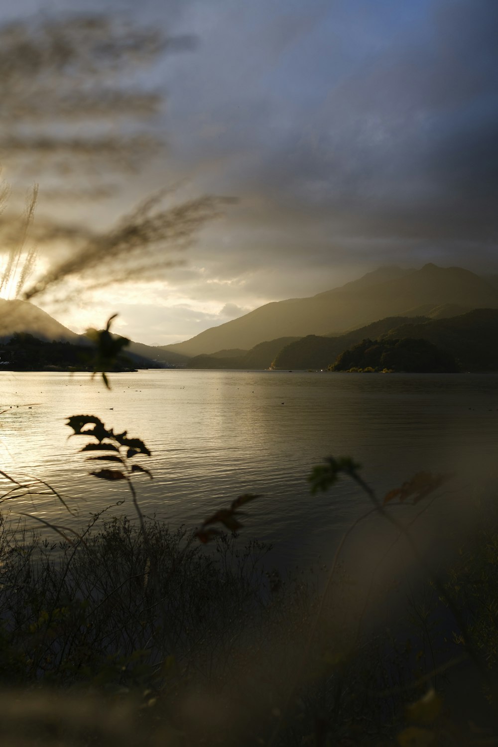 silhouette of birds flying over the lake during sunset