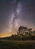 A vivid shot of the Milky Way arching over a quiet forest.