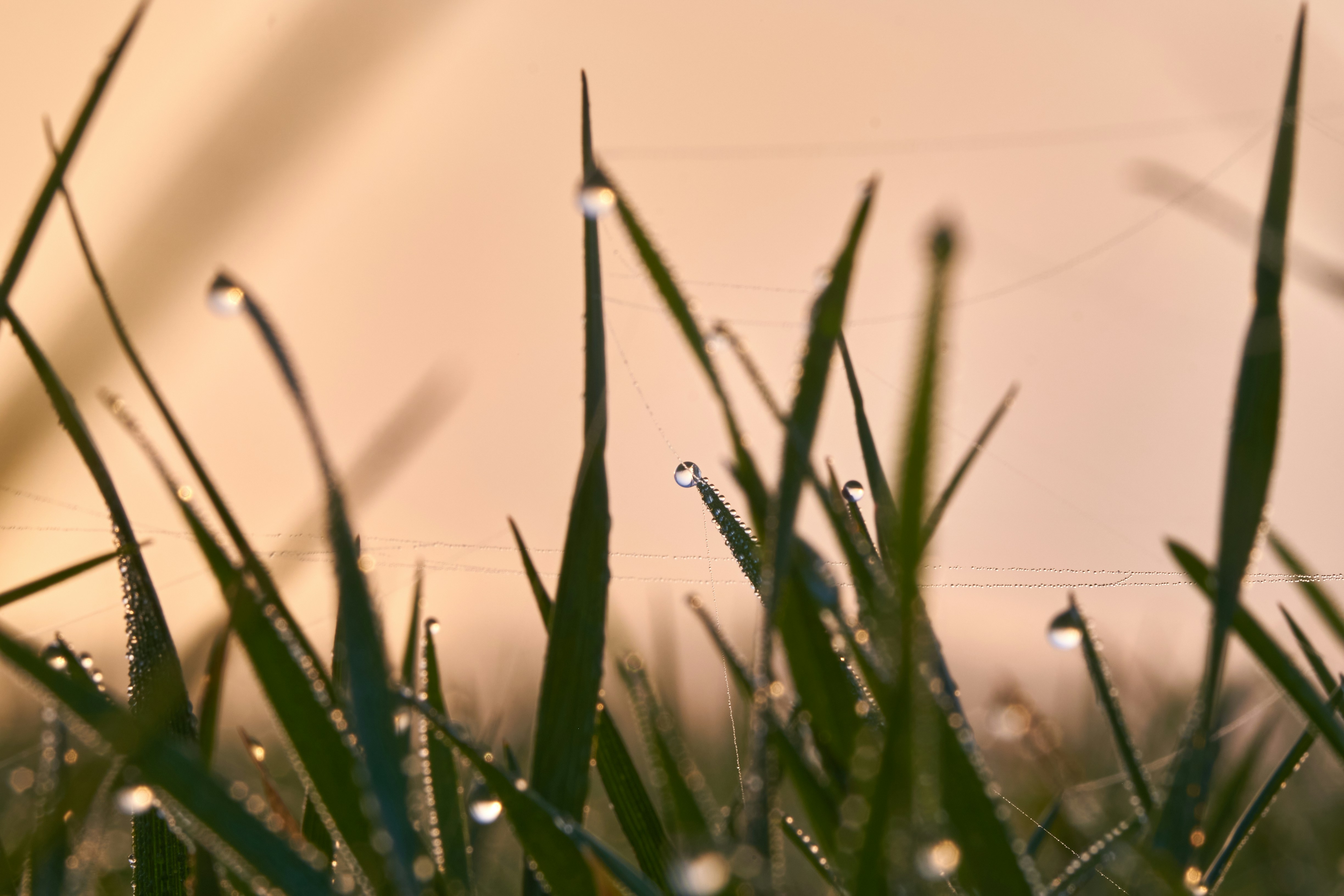 Photo by kevinmueller